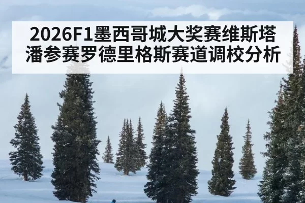2026F1墨西哥城大奖赛维斯塔潘参赛罗德里格斯赛道调校分析