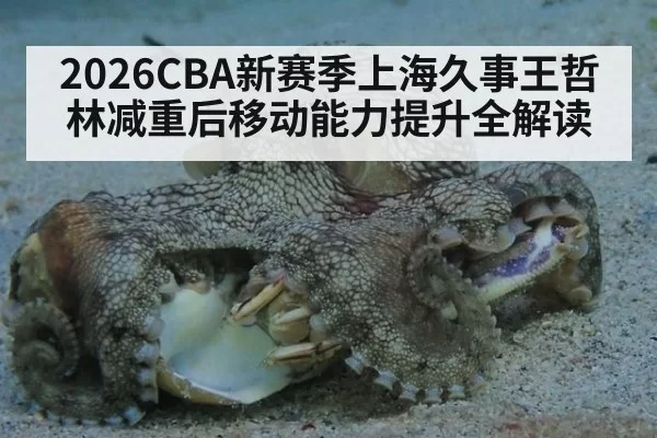2026CBA新赛季上海久事王哲林减重后移动能力提升全解读